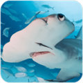 锤头鲨模拟器3D版
